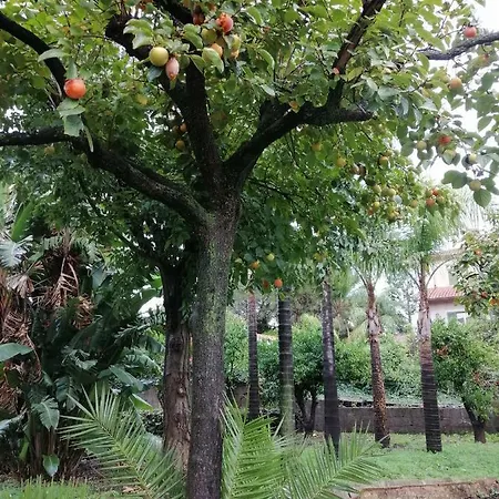 Guest house Jolie Sant'Agata Li Battiati